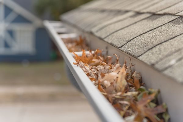 Leaf Barrier Installation in Huntersville